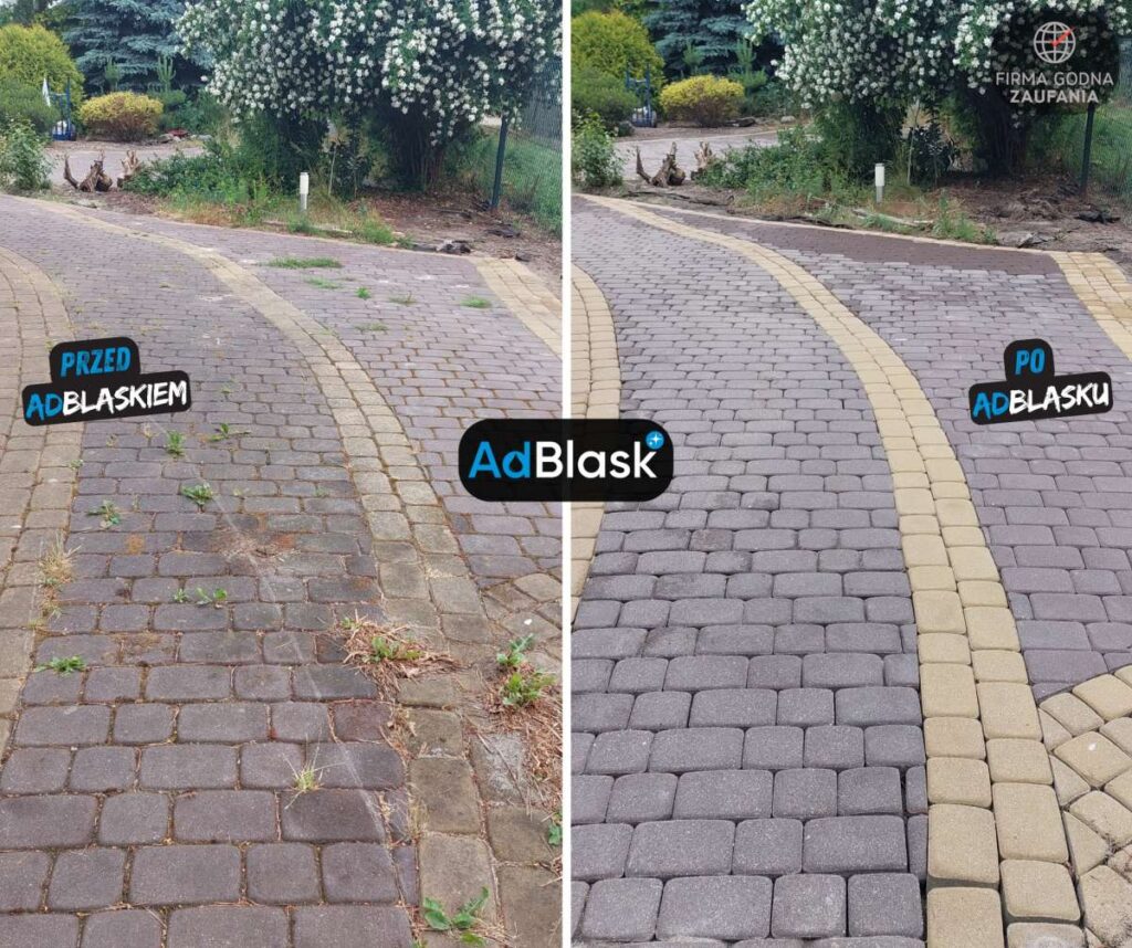 Czyszczenie kostki brukowej Toruń alejka ogrodowa przed i po usunięciu chwastów