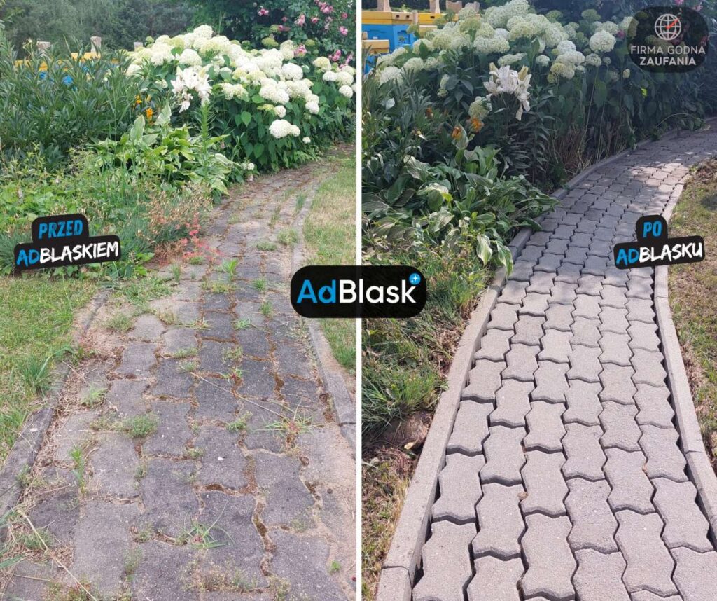 Czyszczenie ścieżki ogrodowej z kostki brukowej, efekt przed i po – Grudziądz