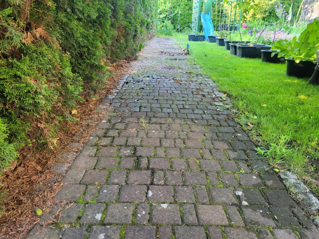 Przed czyszczeniem i uzupełnieniem szczelin piaskiem kwarcowym