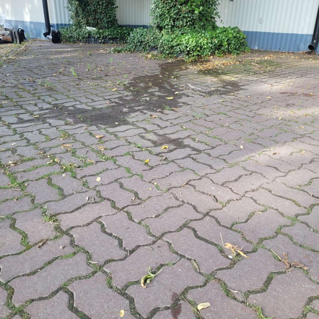 Przed czyszczeniem i uzupełnieniem szczelin piaskiem kwarcowym