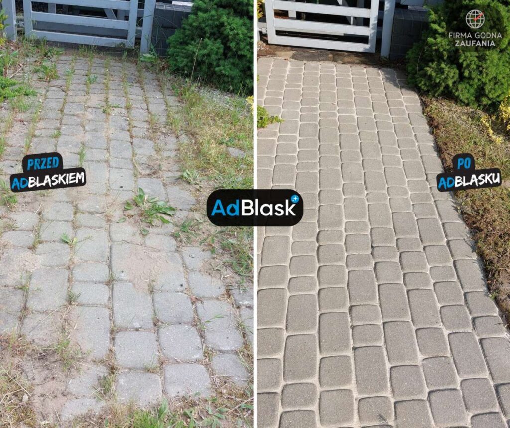 Mycie kostki brukowej Włocławek wejście do ogrodu przed i po usunięciu chwastów